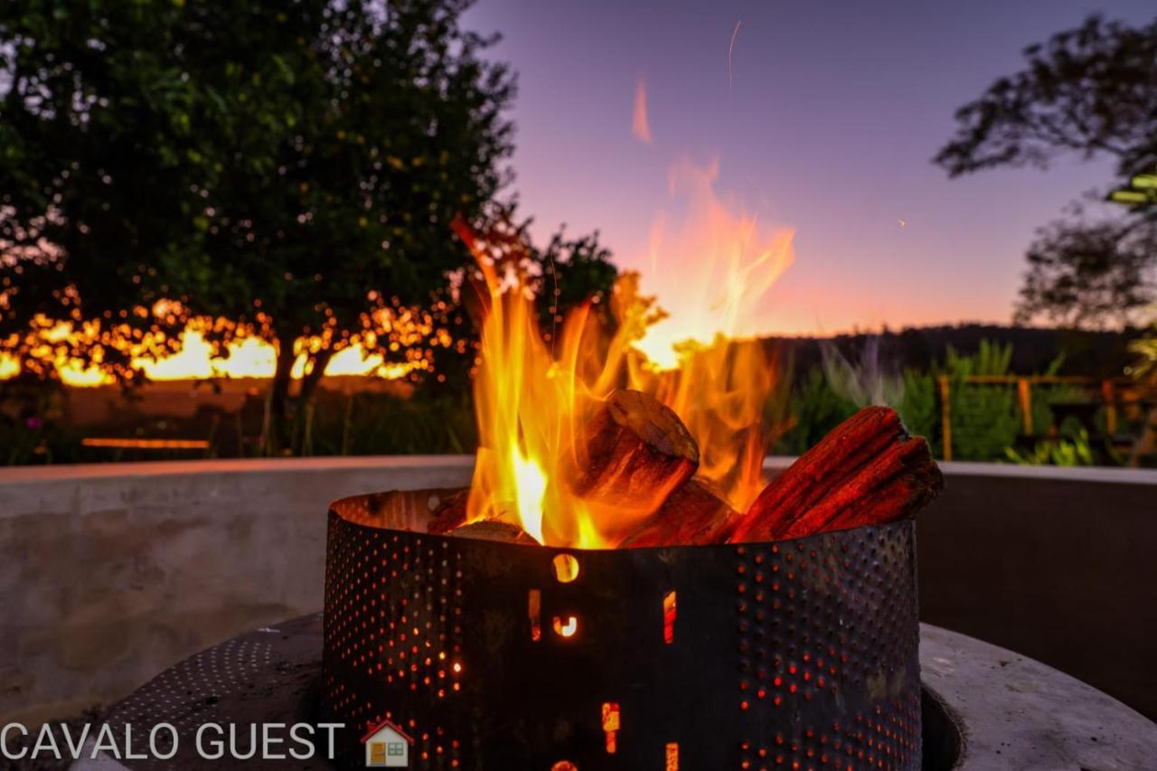 Drummond Cavalo Guesthouse & Equestrian Estate מראה חיצוני תמונה