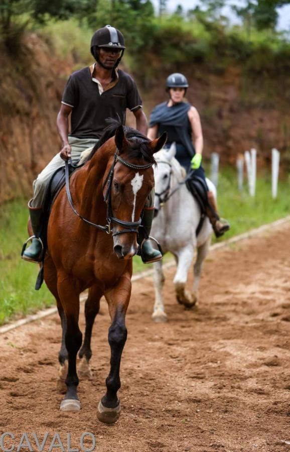 Drummond Cavalo Guesthouse & Equestrian Estate מראה חיצוני תמונה