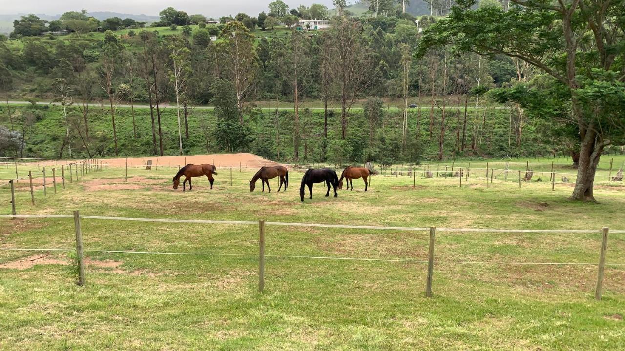 Drummond Cavalo Guesthouse & Equestrian Estate מראה חיצוני תמונה