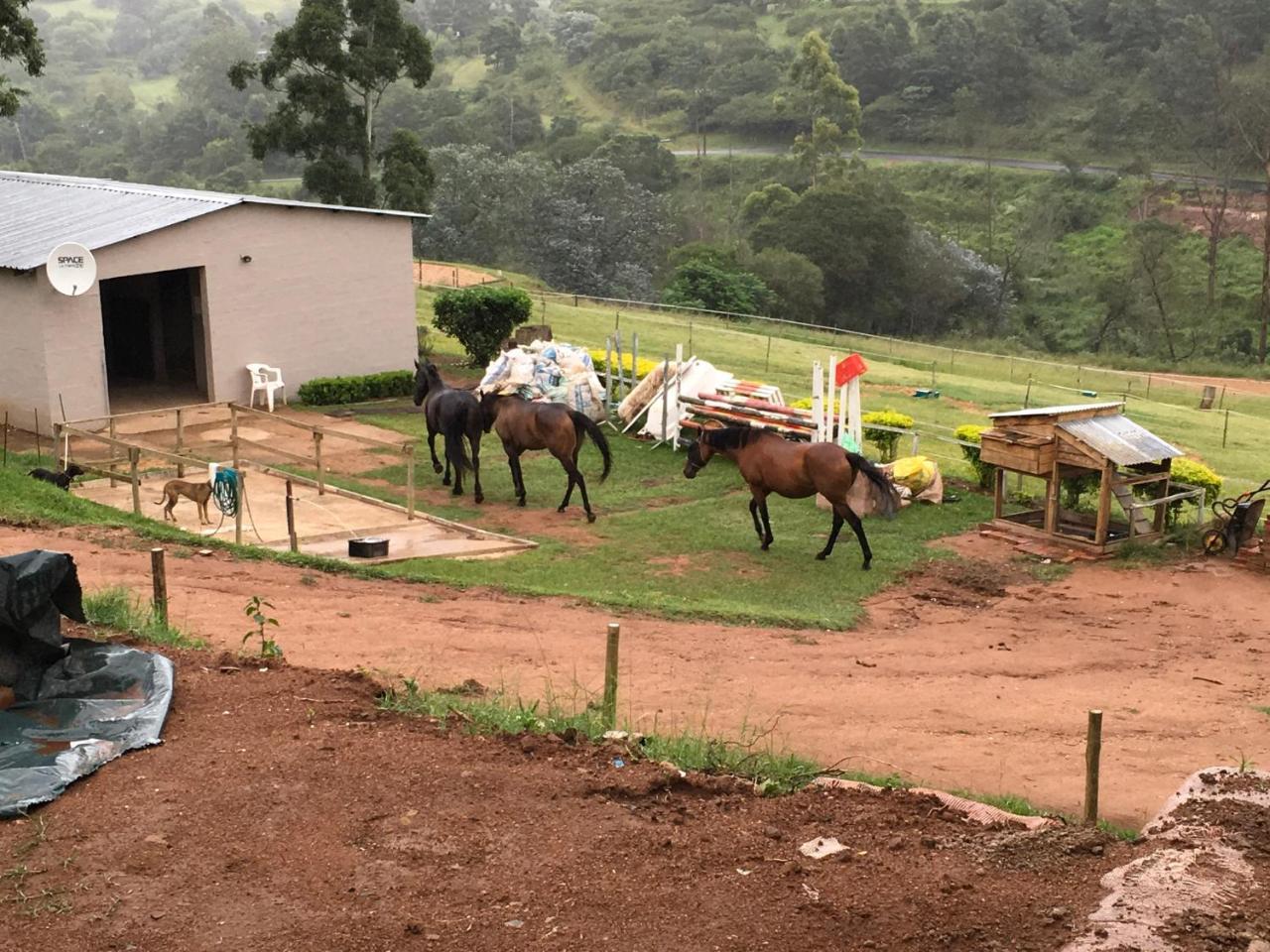 Drummond Cavalo Guesthouse & Equestrian Estate מראה חיצוני תמונה