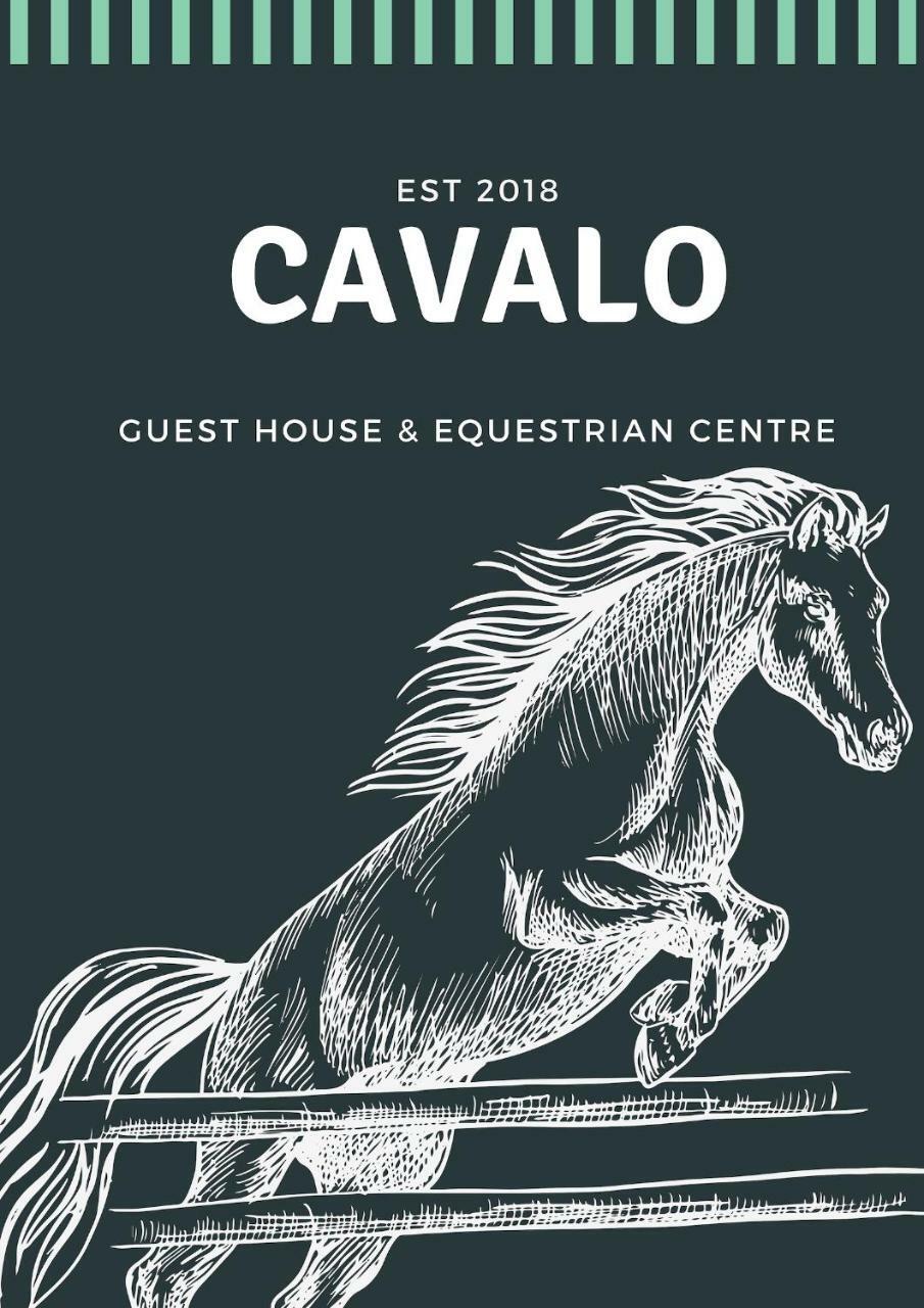 Drummond Cavalo Guesthouse & Equestrian Estate מראה חיצוני תמונה